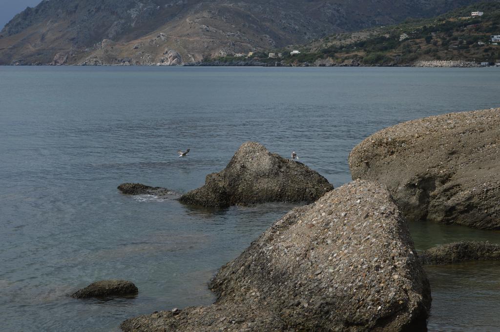 Despoina Rooms Plakiás Rom bilde